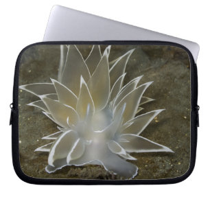 Alabaster NudiBranch Electronics Bag Laptopschutzhülle