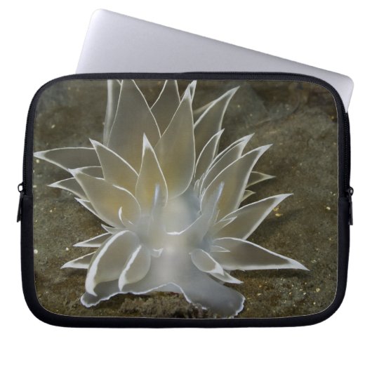 Alabaster NudiBranch Electronics Bag Laptopschutzhülle (Vorderseite)