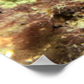 Alabaster NudiBranch - Kunstdrucken Poster (Ecke)