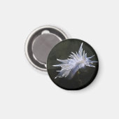 Alabaster NudiBranch Magnet (Vorderseite/Rückseite)