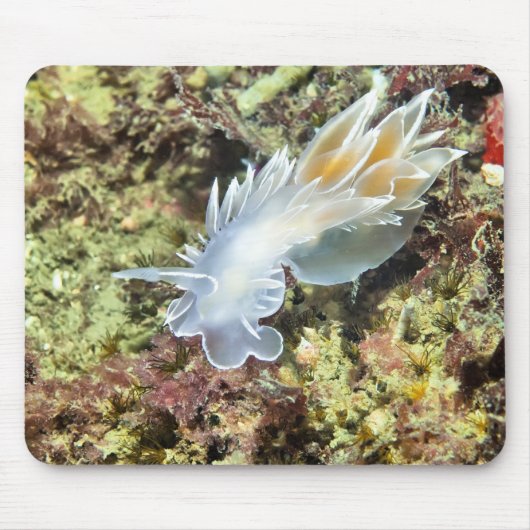 Alabaster NudiBranch Mousepad (Vorne)