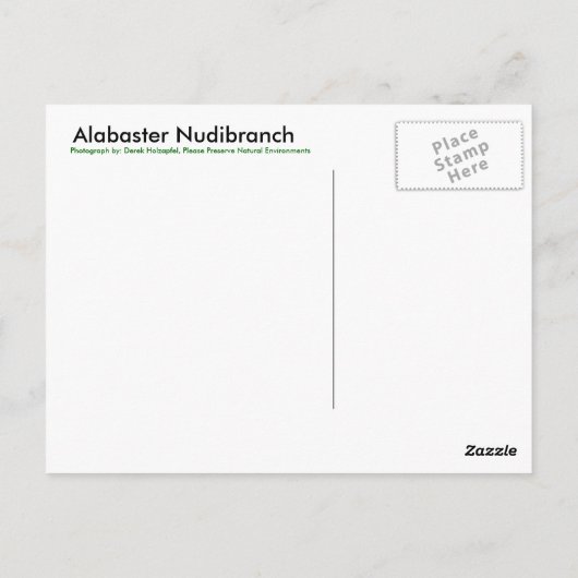 Alabaster NudiBranch - Postkarte (Rückseite)