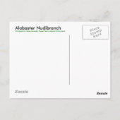Alabaster NudiBranch - Postkarte (Rückseite)