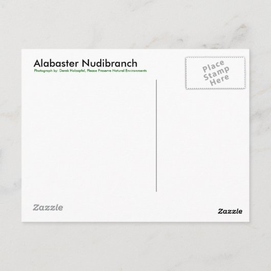 Alabaster NudiBranch - Postkarte (Rückseite)
