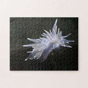 Alabaster NudiBranch Puzzle