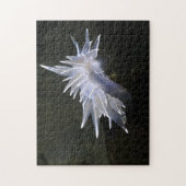 Alabaster NudiBranch Puzzle (Vertikal)