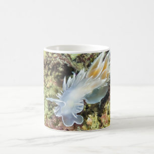 Alabaster Nudibranch - Tasse