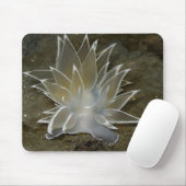 Alabaster Nudizweig (Dirona albolineata) Mousepad (Mit Mouse)