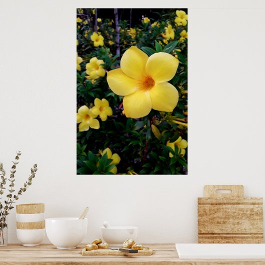 Alamanda Poster (Küche)