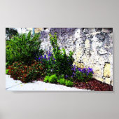 Alamo Blume Poster (Vorne)