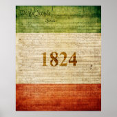 Alamo Flag Poster (Vorne)