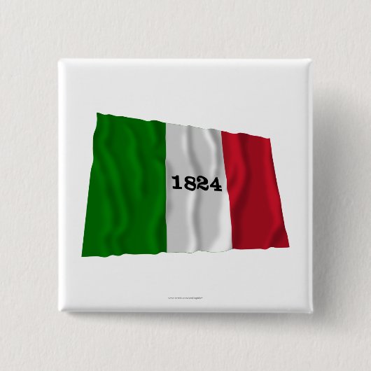 Alamo-Flagge Button (Vorderseite)