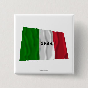 Alamo-Flagge Button