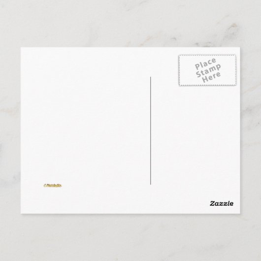 Alamo - San Antonio, Tx Postkarte (Rückseite)