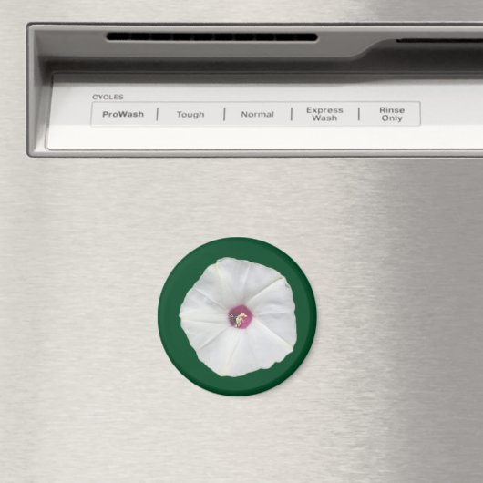 Alamo Vine Magnet (In Situ (Geschirrspüler))