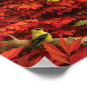 Alan Giana "Autumn Woods" Poster (Ecke)