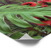 Alan Giana "Can You Imaging" Poster (Ecke)