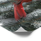 Alan Giana "Kardinal Light" Poster (Ecke)