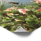 Alan Giana "Pelican Cove" Poster (Ecke)