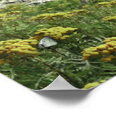 Alan Giana "Portland Head Light" Poster (Ecke)