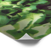 Alan Giana Poster "Dragonfly Garden" (Ecke)