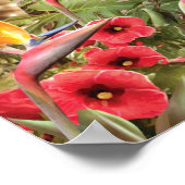 Alan Giana "Presents in Paradise" Poster (Ecke)