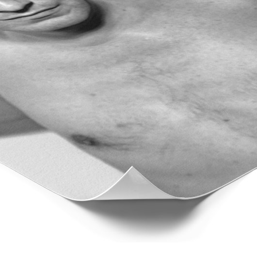 Alan Rickman Poster (Ecke)