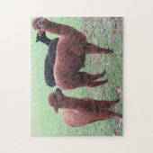 Alapa-Gang Puzzle (Vertikal)