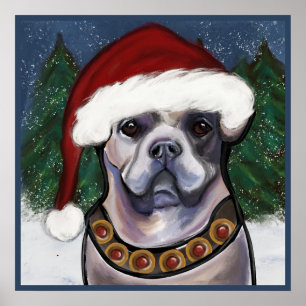 Alapaha Blue Blood Bulldog Poster