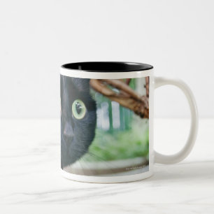 alarmierte Katze, die unter Busch sich versteckt Zweifarbige Tasse