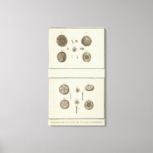 Alaska 10 leinwanddruck (Vorderseite)