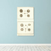 Alaska 10 leinwanddruck (Insitu (Holzboden))