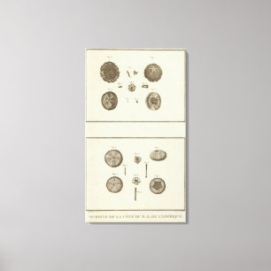 Alaska 10 leinwanddruck