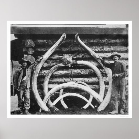 Alaska 1908 poster (Vorne)