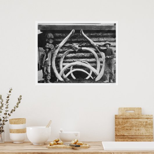 Alaska 1908 poster (Küche)