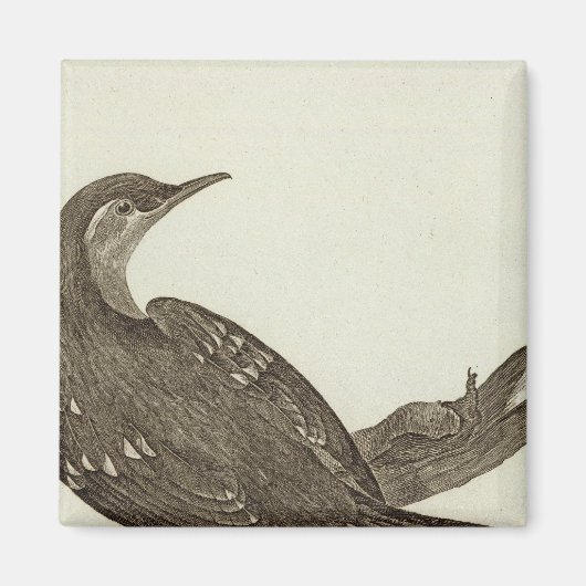 Alaska 2 magnet (Vorne)