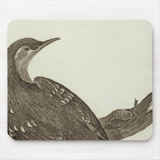 Alaska 2 mousepad (Vorne)