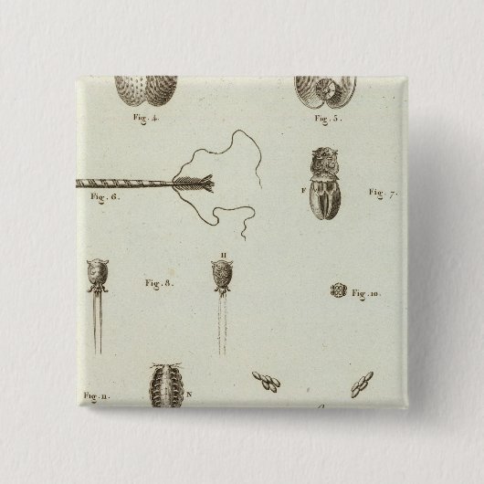 Alaska 3 button (Vorderseite)