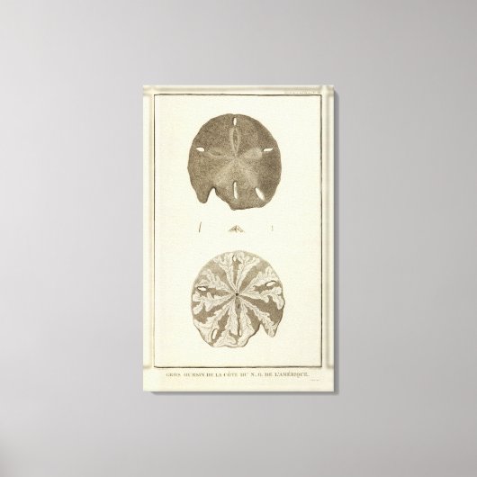 Alaska 3 leinwanddruck (Vorderseite)