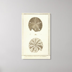 Alaska 3 leinwanddruck