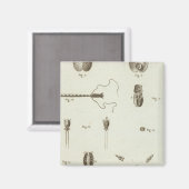 Alaska 3 magnet (Vorderseite/Rückseite)