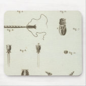 Alaska 3 mousepad (Vorne)