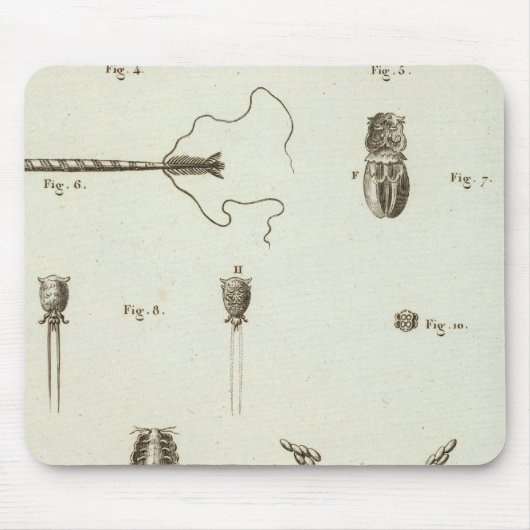 Alaska 3 mousepad (Vorne)