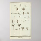 Alaska 3 poster (Vorne)