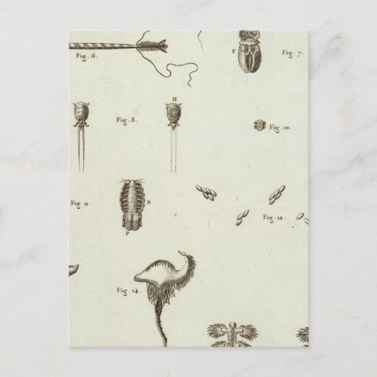 Alaska 3 postkarte (Vorderseite)