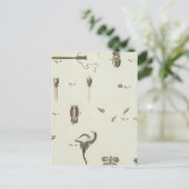 Alaska 3 postkarte (Stehend Vorderseite)