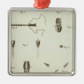 Alaska 3 silbernes ornament (Vorne)