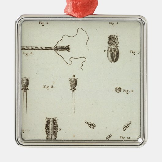 Alaska 3 silbernes ornament (Vorne)