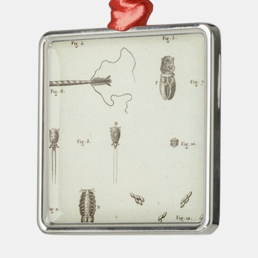 Alaska 3 silbernes ornament (Links)