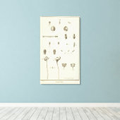 Alaska 5 leinwanddruck (Insitu (Holzboden))